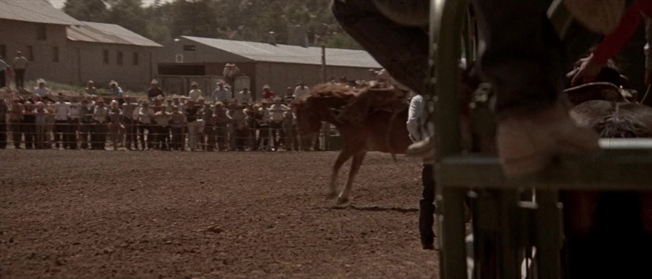 The Electric Horseman screenshot 3