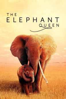 The Elephant Queen (2018) poster