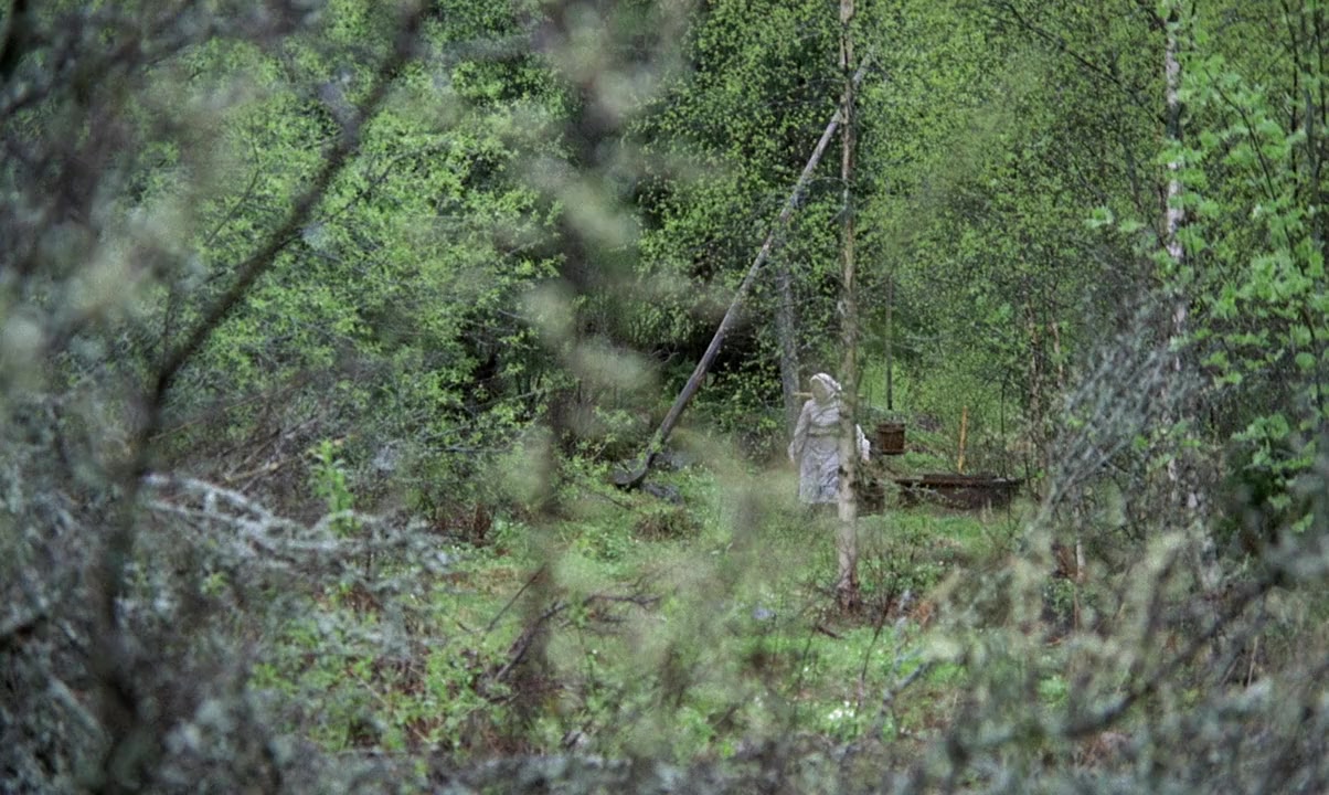 Utvandrarna screenshot 2