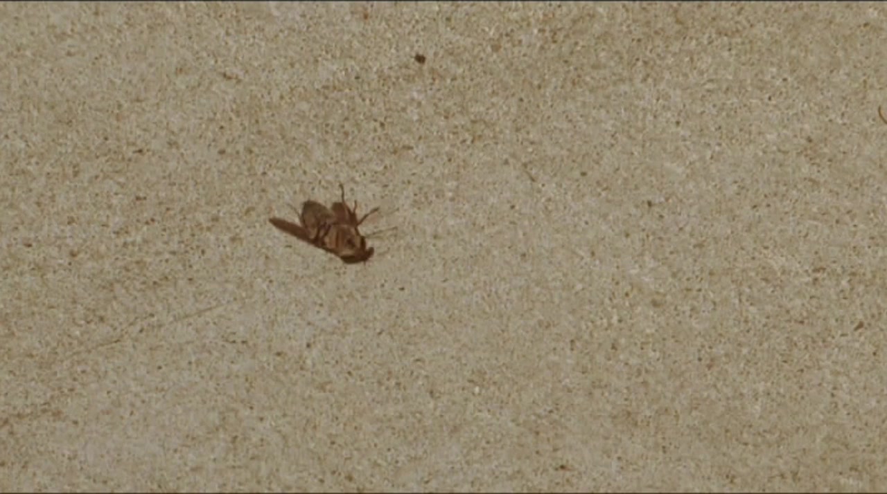 The Empty Acre screenshot 1