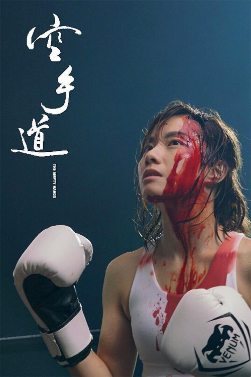 Hung sau dou (2017) poster