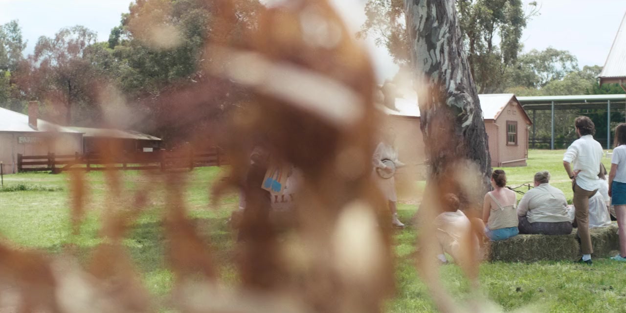 The Emu War screenshot 3