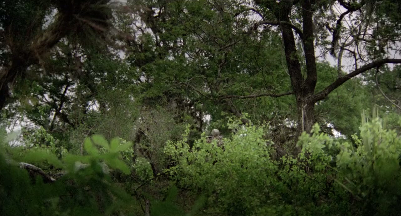 The Enchanted screenshot 1