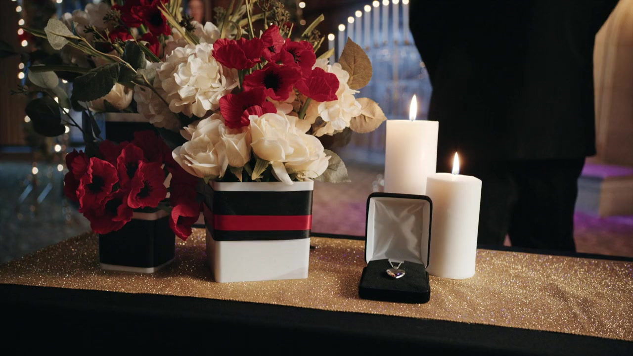 The Engagement Plot screenshot 2