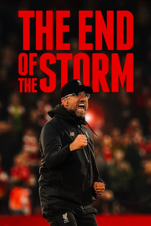 The End of the Storm (2020) poster