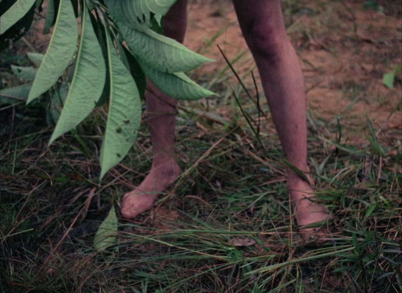 Finis Hominis screenshot 1