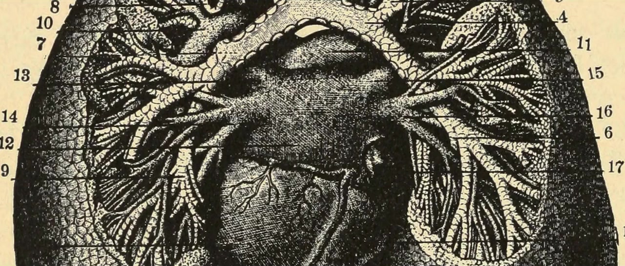 The End of Medicine screenshot 1