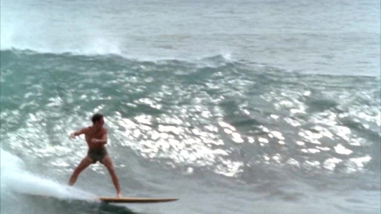 The Endless Summer screenshot 2