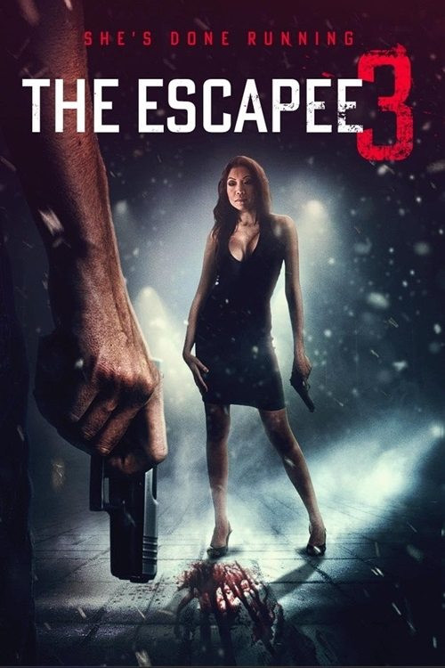 The Escapee 3: The Final Escape (2024) poster