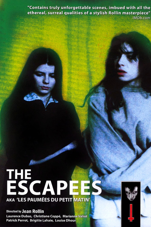 Les paumées du petit matin (1982) poster