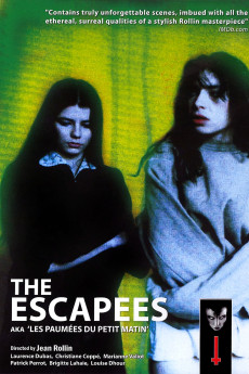 Les paumées du petit matin (1982) poster