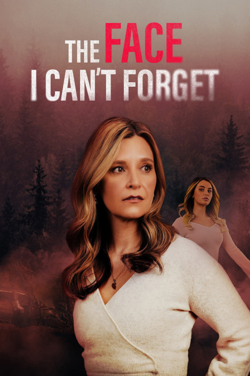 The Face I Can't Forget (2024) poster
