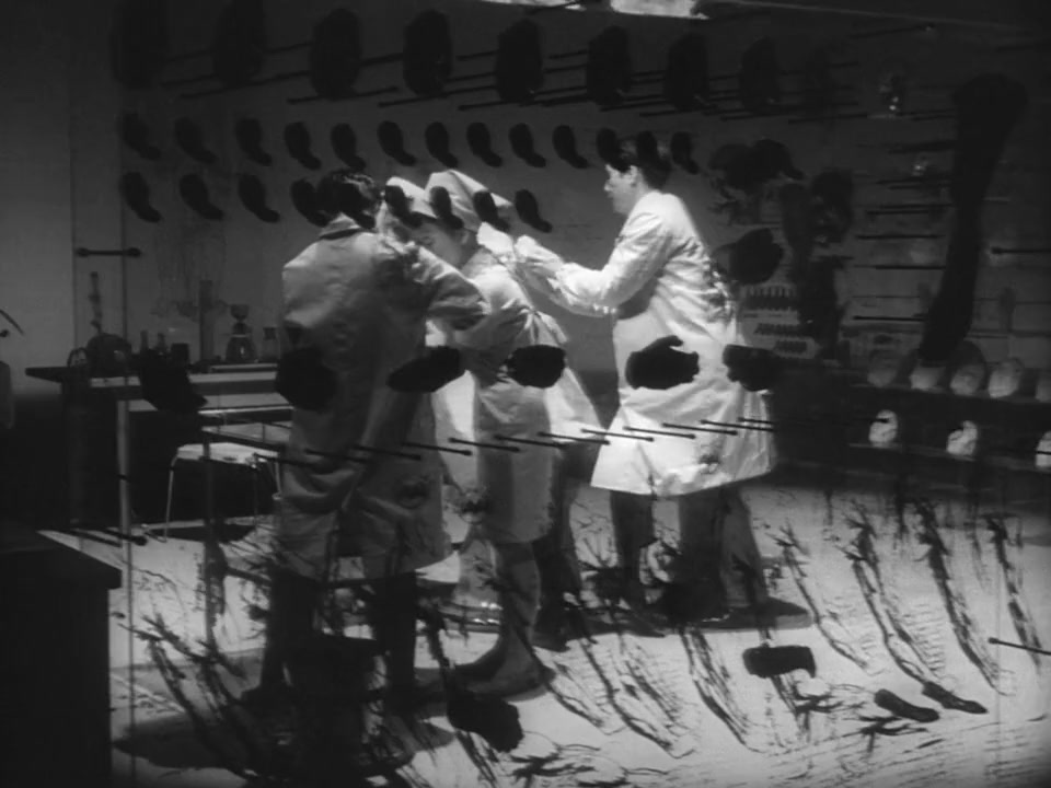 Tanin no kao screenshot 3