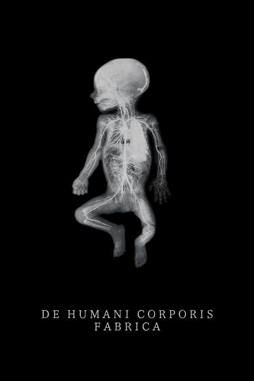 De humani corporis fabrica (2022) poster
