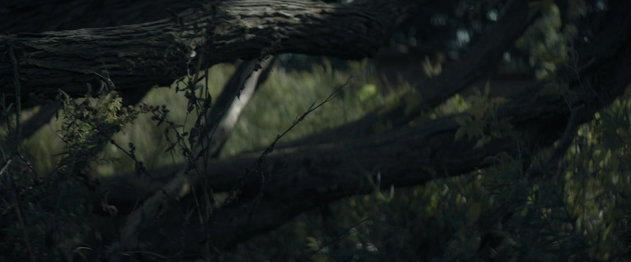 The Family screenshot 3