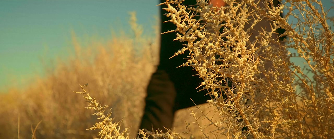The Fearway screenshot 1