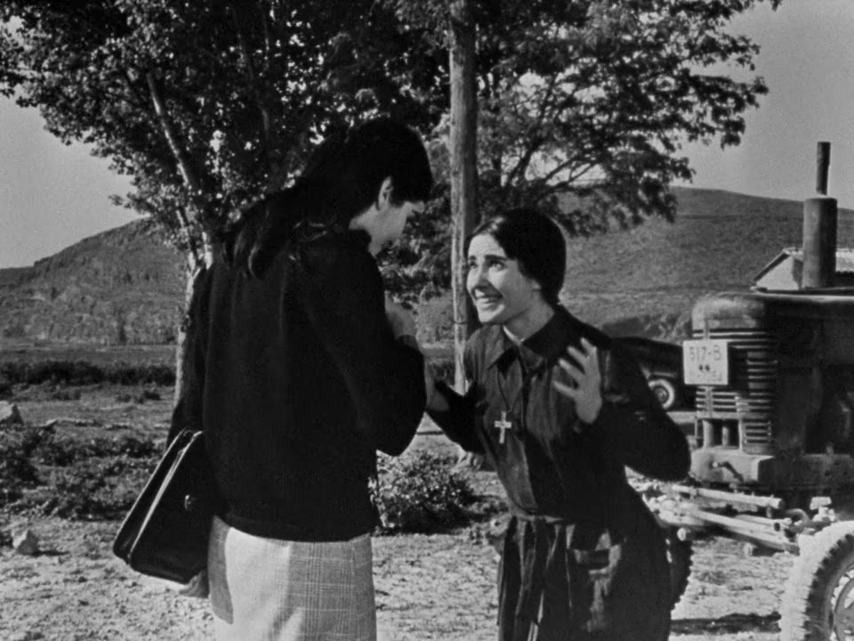 O fovos screenshot 3