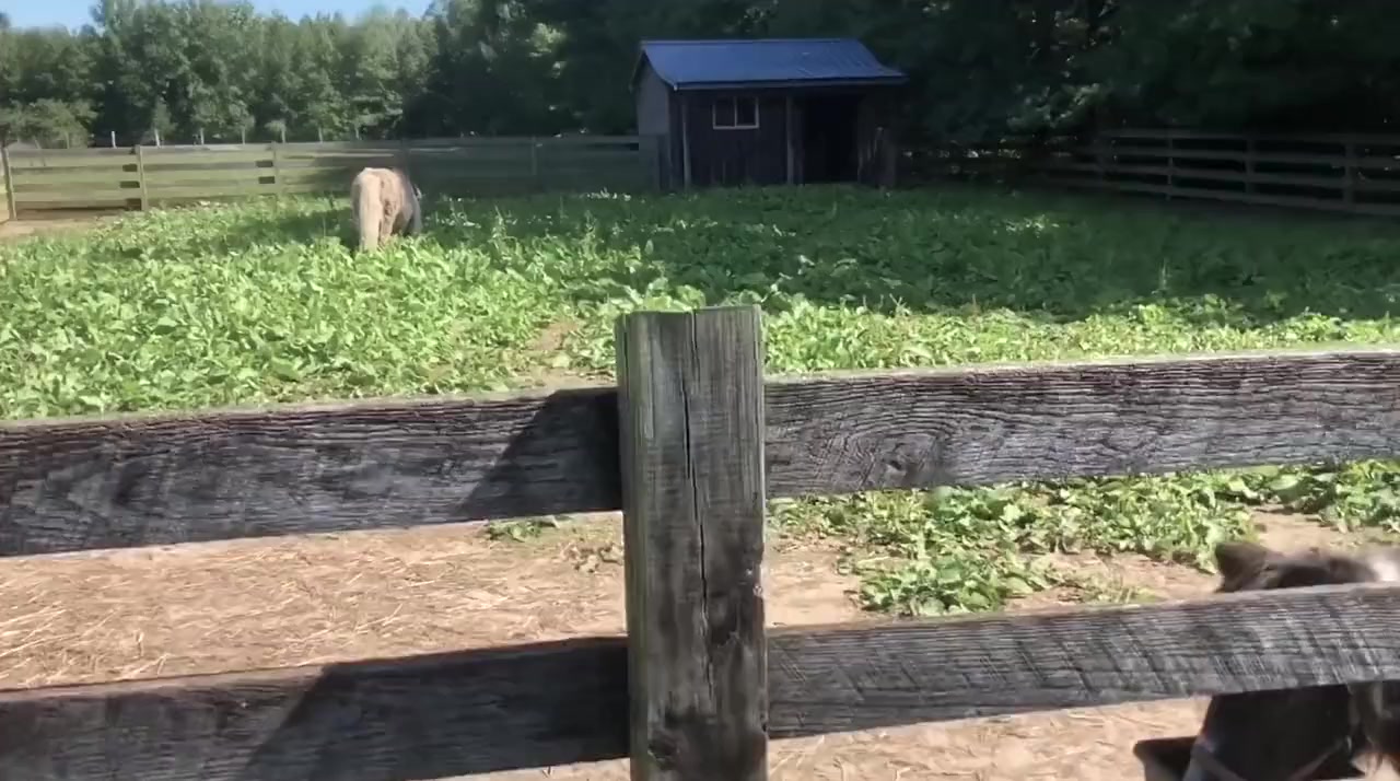 The Fear Footage: 3AM screenshot 1