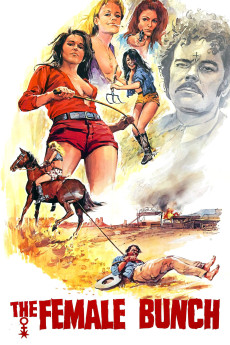 The Female Bunch (1971) poster