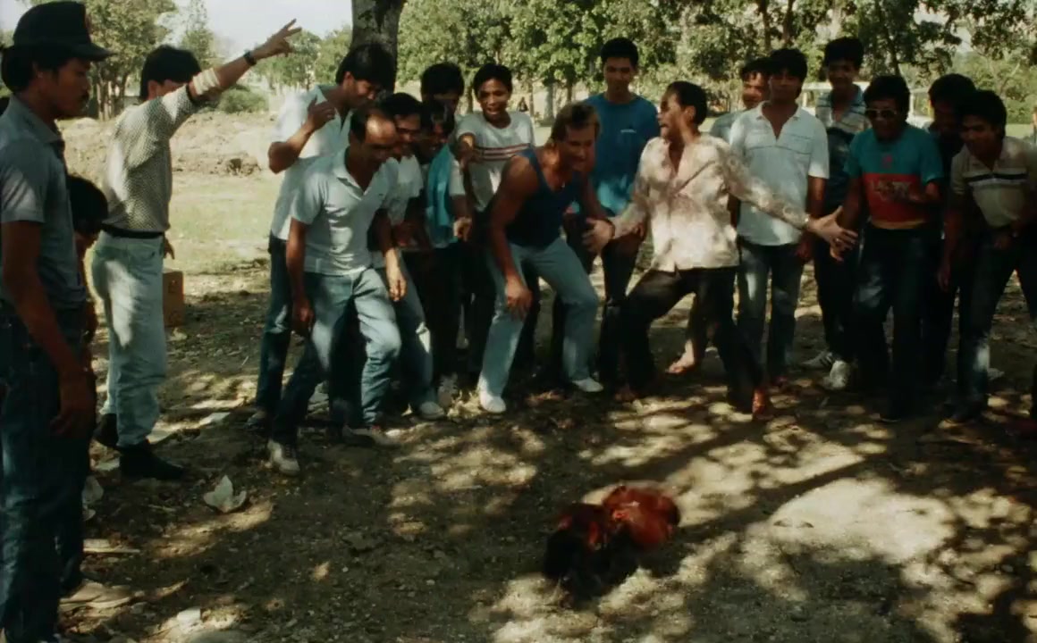 The Fighter screenshot 1