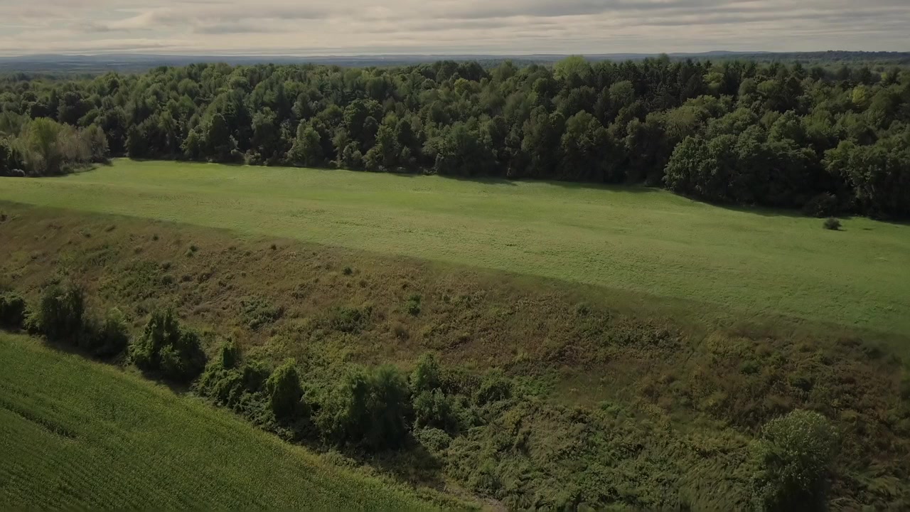 The Fighting Preacher screenshot 1