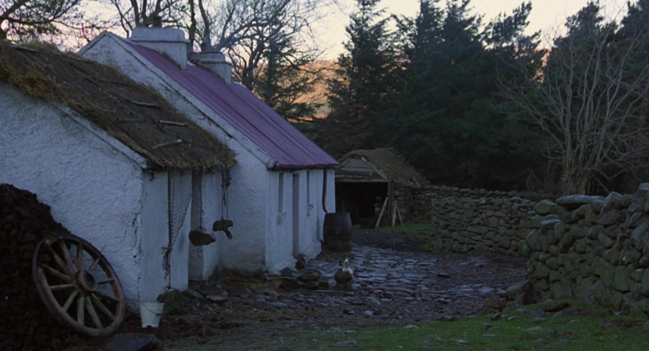 The Field screenshot 1