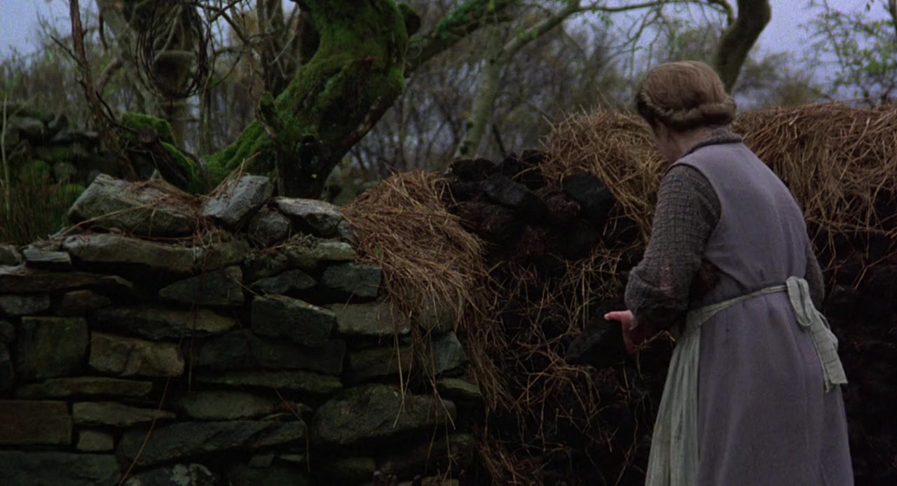 The Field screenshot 2