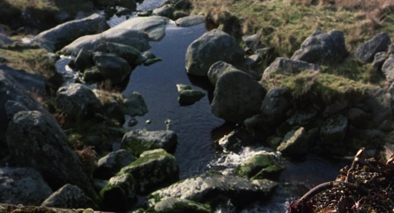 The Field screenshot 3