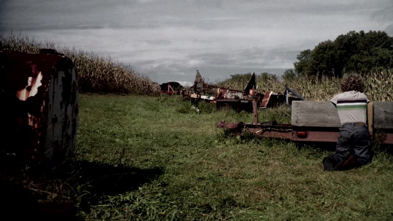 The Fields screenshot 1
