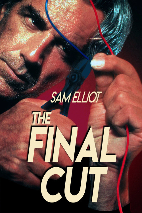 The Final Cut (1995) poster