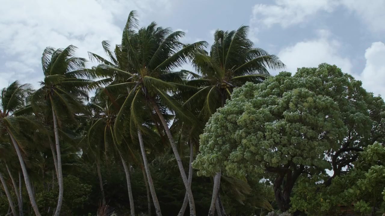 The Final Years of Majuro screenshot 3