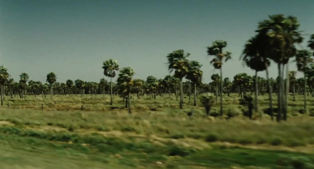 El niño pez screenshot 2