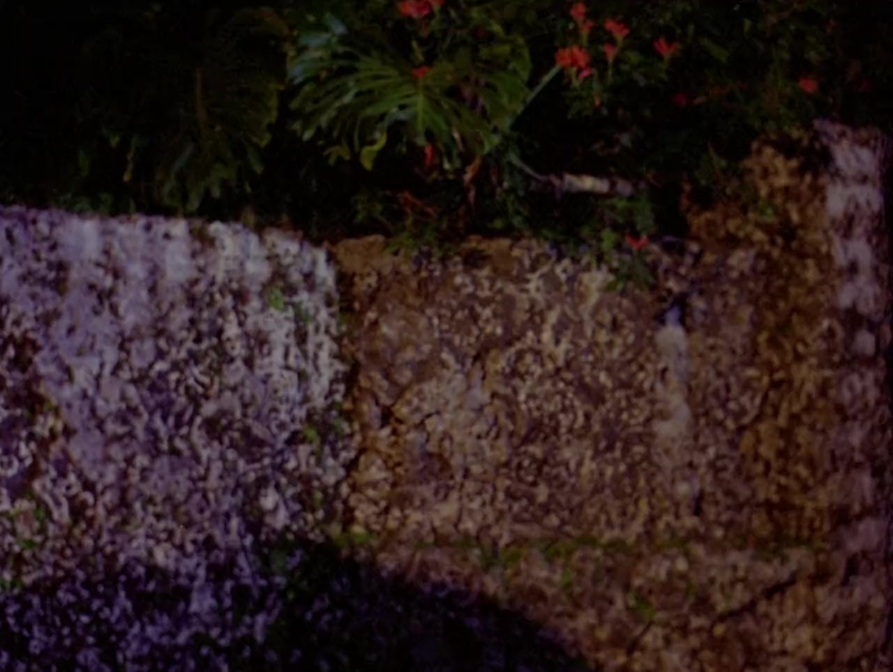 El puño de la muerte screenshot 2