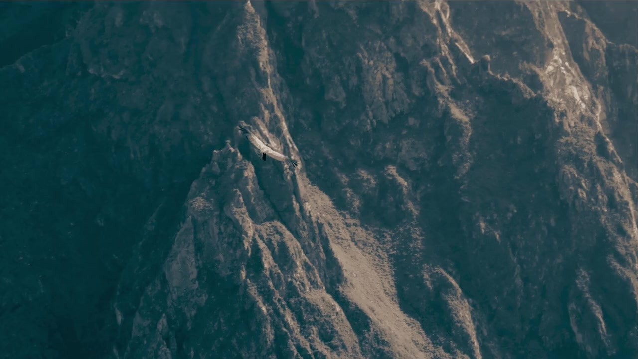 El Puño del Cóndor screenshot 3