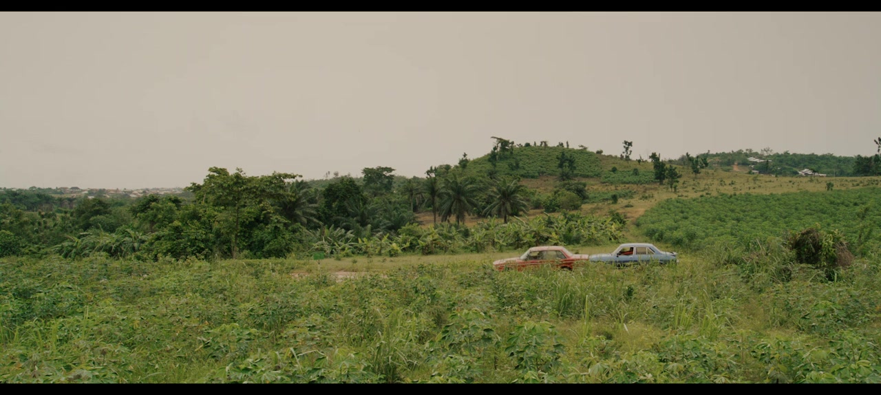 The Fire and the Moth screenshot 2