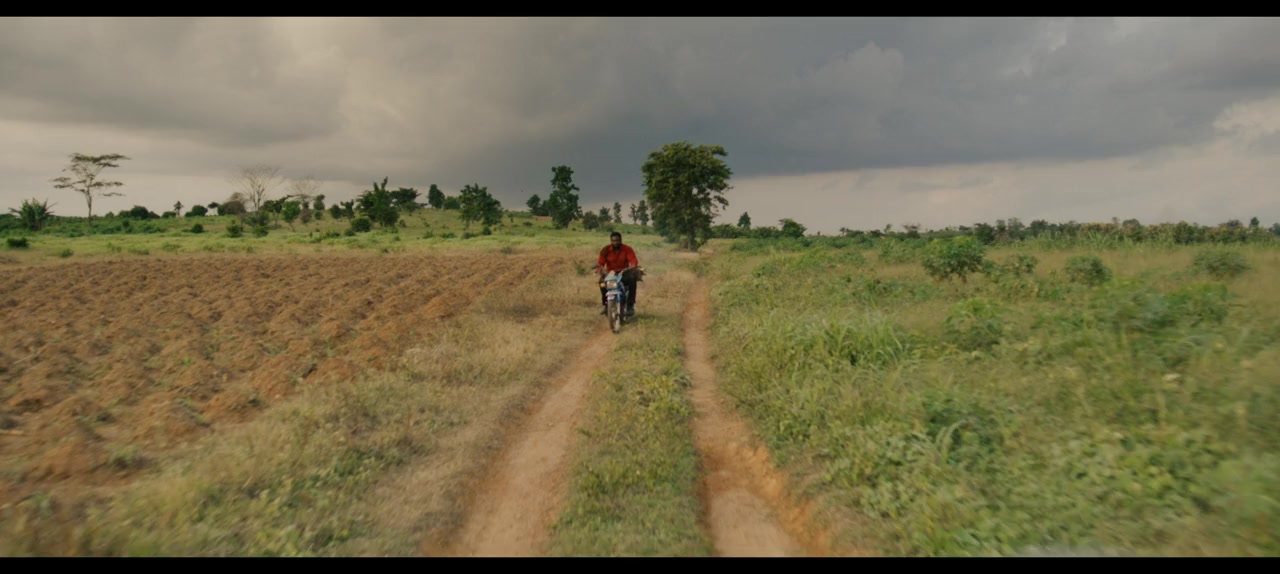 The Fire and the Moth screenshot 3