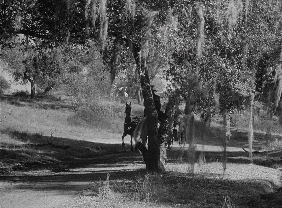 The Flame of New Orleans screenshot 1