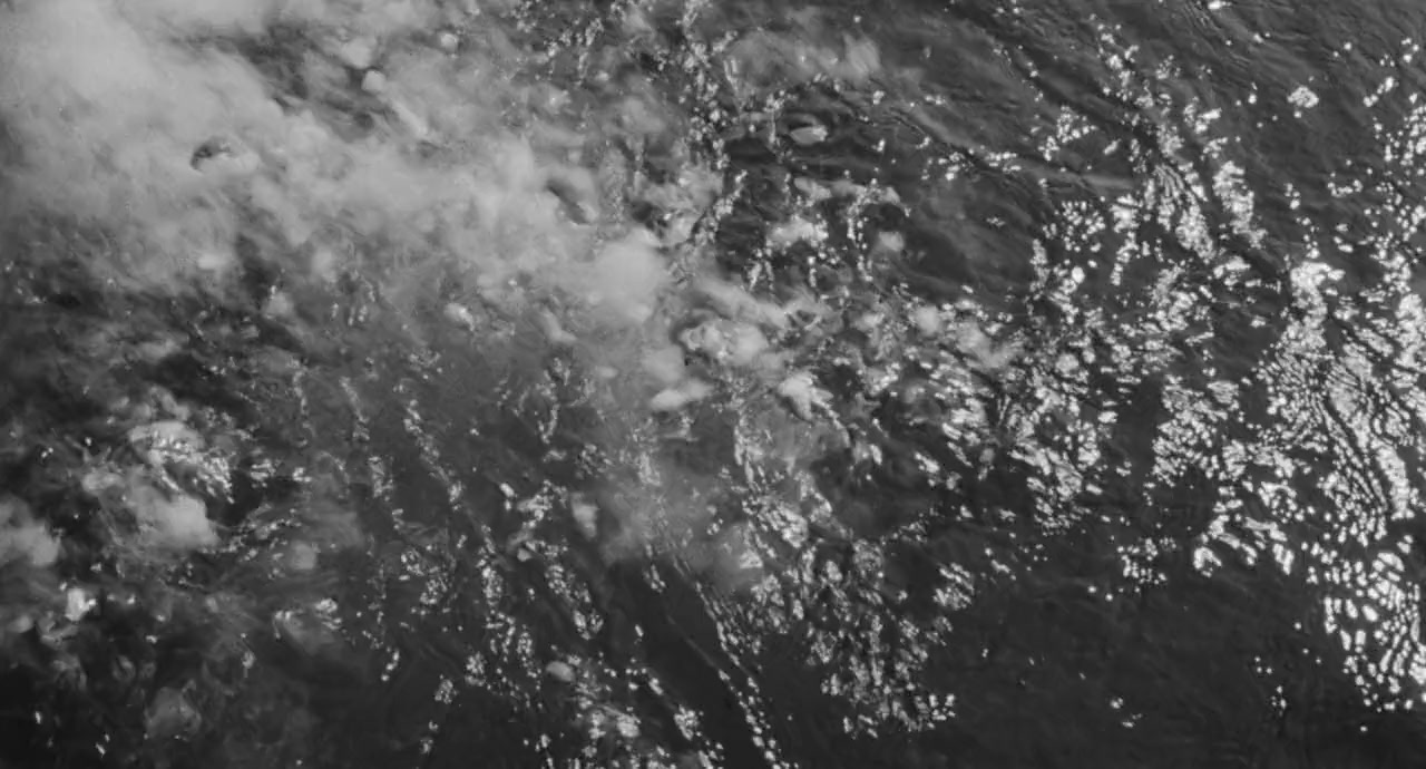The Flesh Eaters screenshot 1
