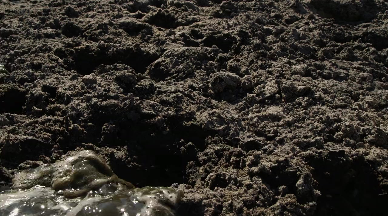 The Flood screenshot 1