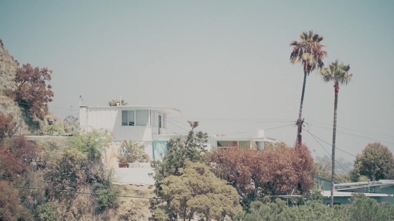 The Florist screenshot 1