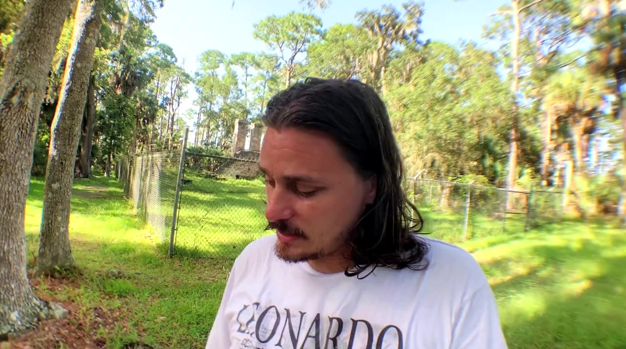 The Flower Tapes screenshot 2