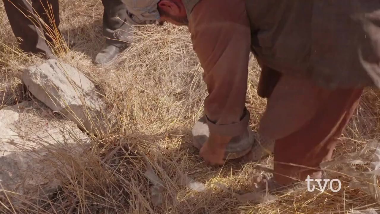 The Forbidden Reel screenshot 1