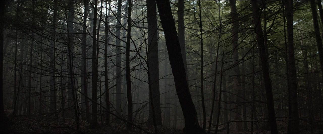 The Forest Hills Festival Cut screenshot 1