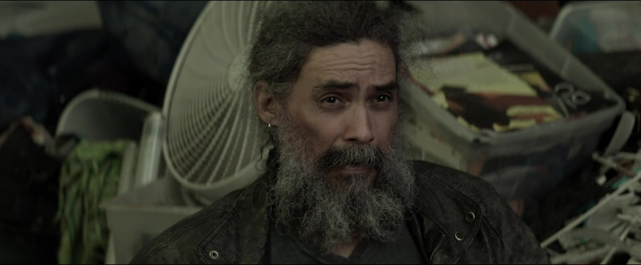 The Forest Hills Festival Cut screenshot 3