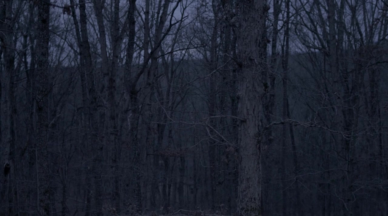 The Forgiving screenshot 2