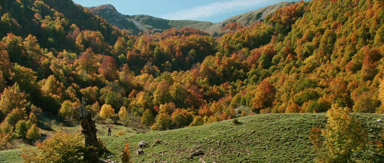 Le renard et l'enfant screenshot 1