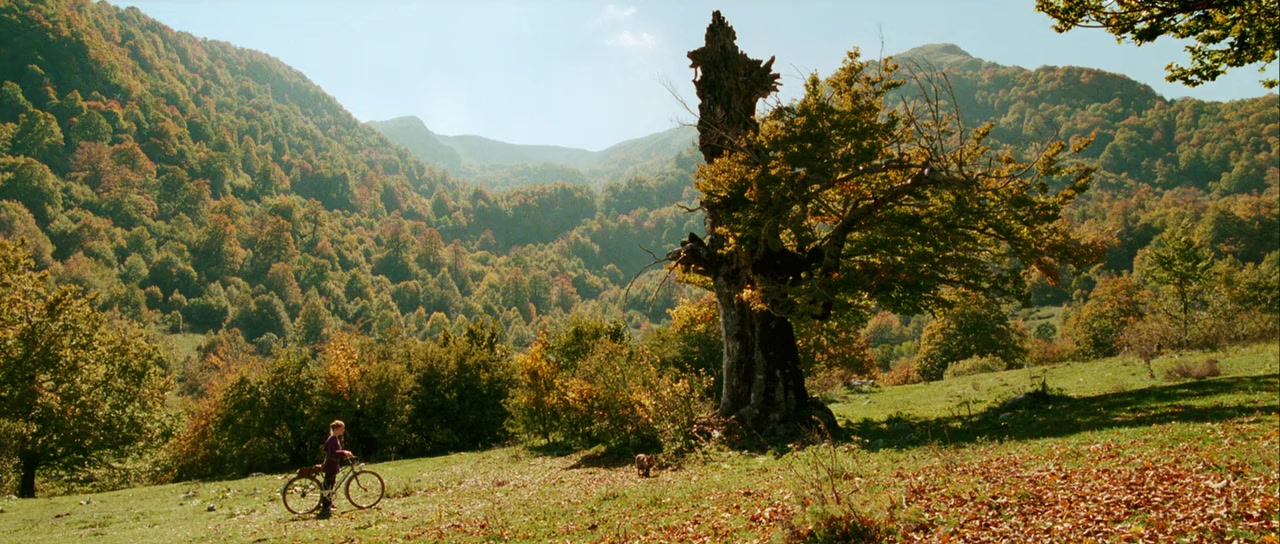 Le renard et l'enfant screenshot 3