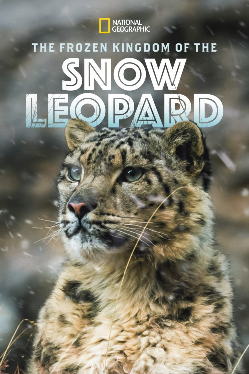Le royaume glacé de la panthère des neiges (2020) poster