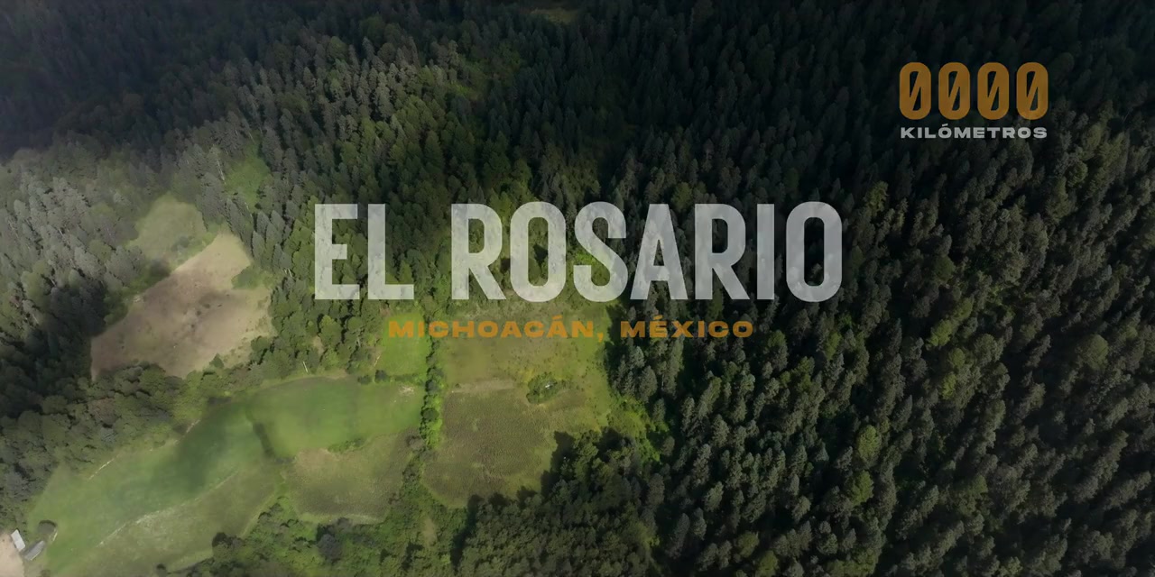 El Guardián de las Monarcas screenshot 2