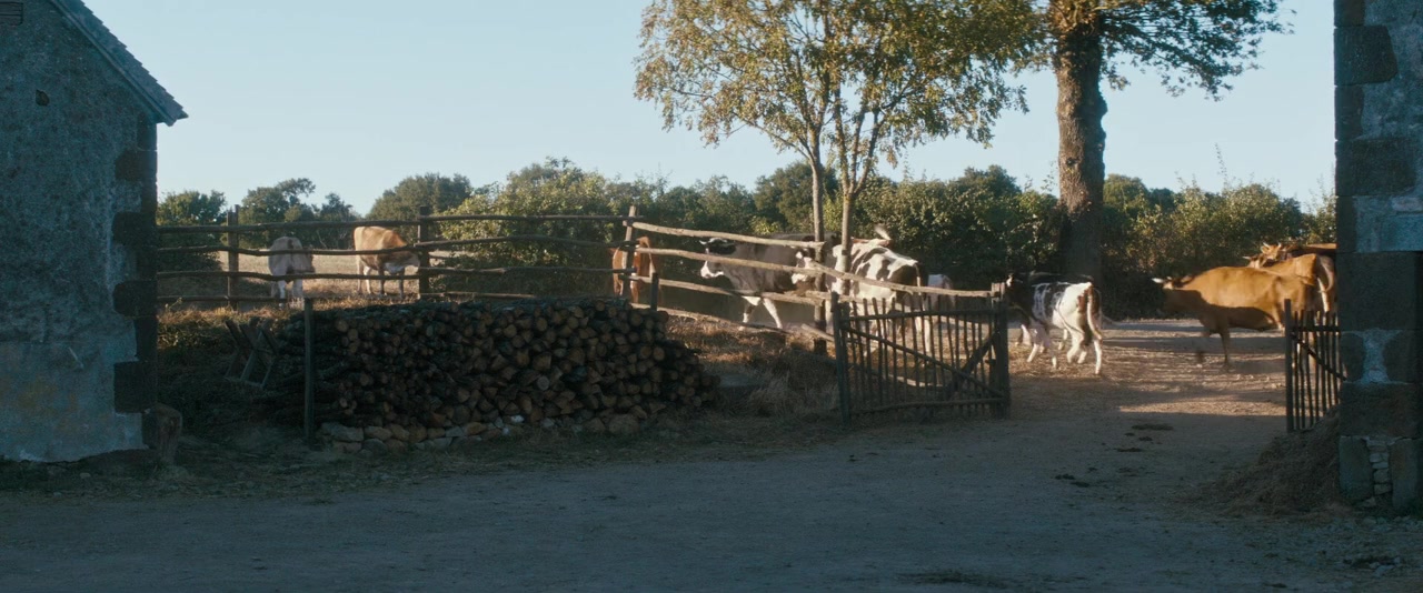 Les gardiennes screenshot 2